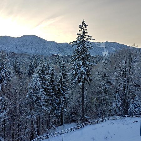 Dor Apartment Poiana Brasov Bagian luar foto