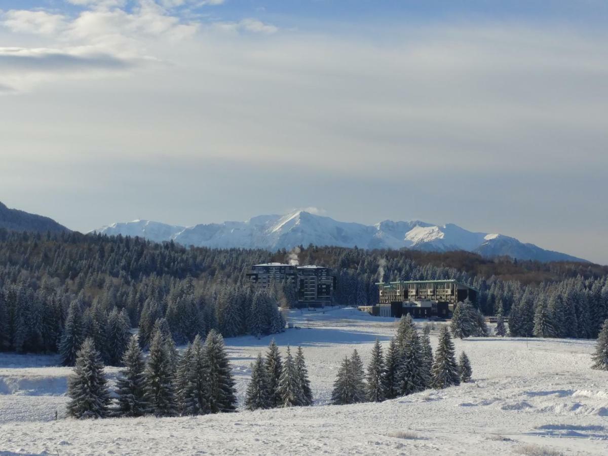 Dor Apartment Poiana Brasov Bagian luar foto