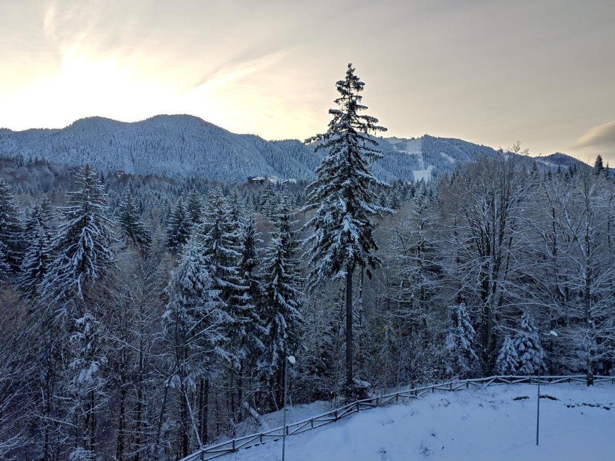 Dor Apartment Poiana Brasov Bagian luar foto